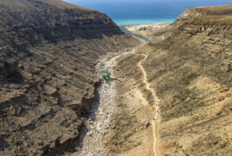 Socotra_2025 (56/76)